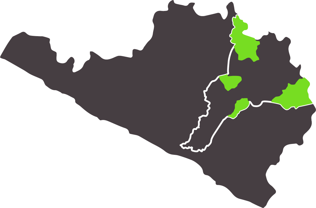 Areas de intervención